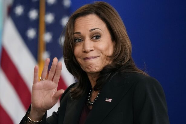 Kamala Harris valuta i possibili vicepresidenti