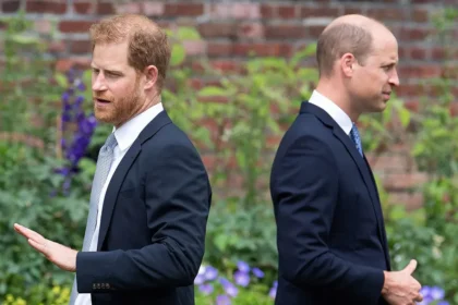 Harry e William: Fratelli in Competizione